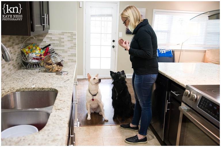 LINDSAY, AARON & THE DOGS | PET LIFESTYLE SESSION - Kaye Ness Photography