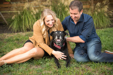 Kansas City pet photographer